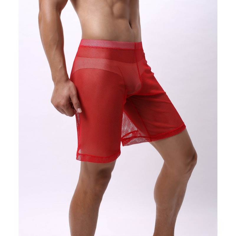 Low Rise Mesh Erotic Underwear - Trunk Breathable Men 评论和价格