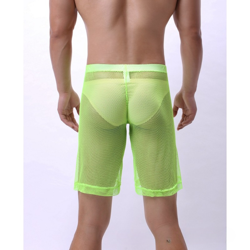 Low Rise Mesh Erotic Underwear - Trunk Breathable Men 评论和价格